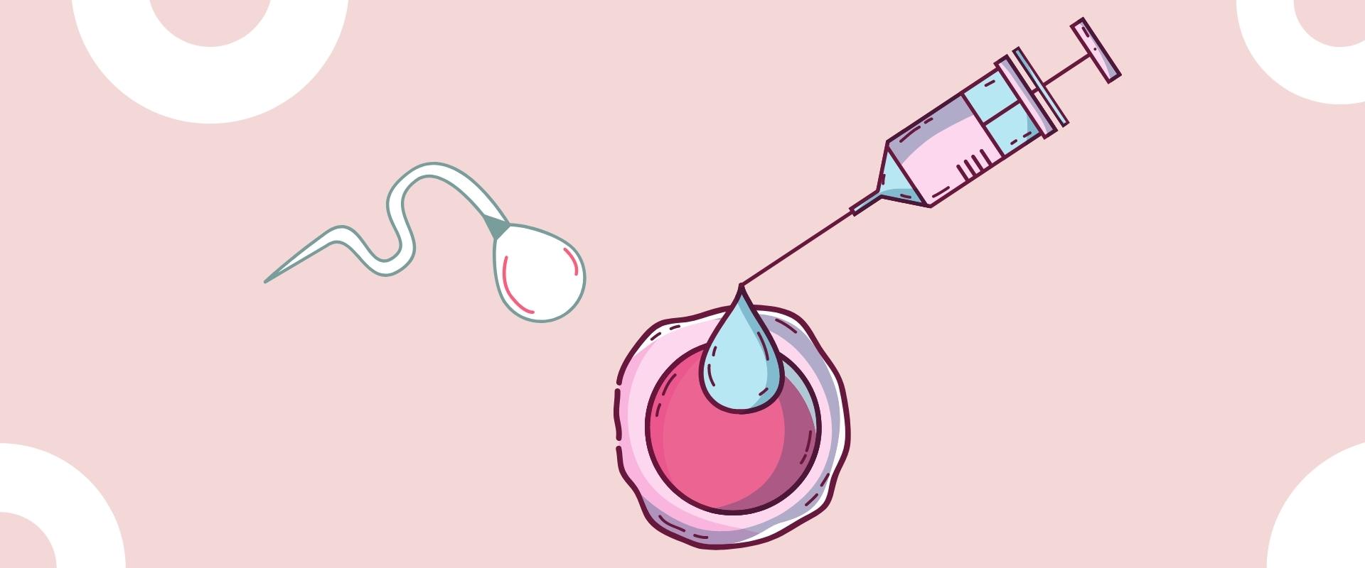 Inseminação artificial Inseminação artificial